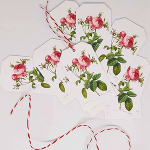 REDOUTÉ Rosa Centifolia Gift Tag