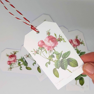 REDOUTÉ Rosa Centifolia Gift Tag