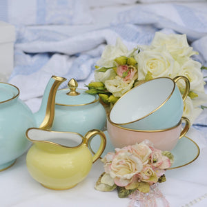 Limoge Teacup & Saucer Rose Petal Pastel Blue