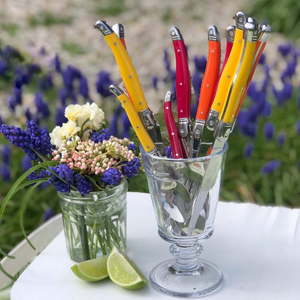 Laguiole Steak Knife Set - Louis Thiers - Carnaval