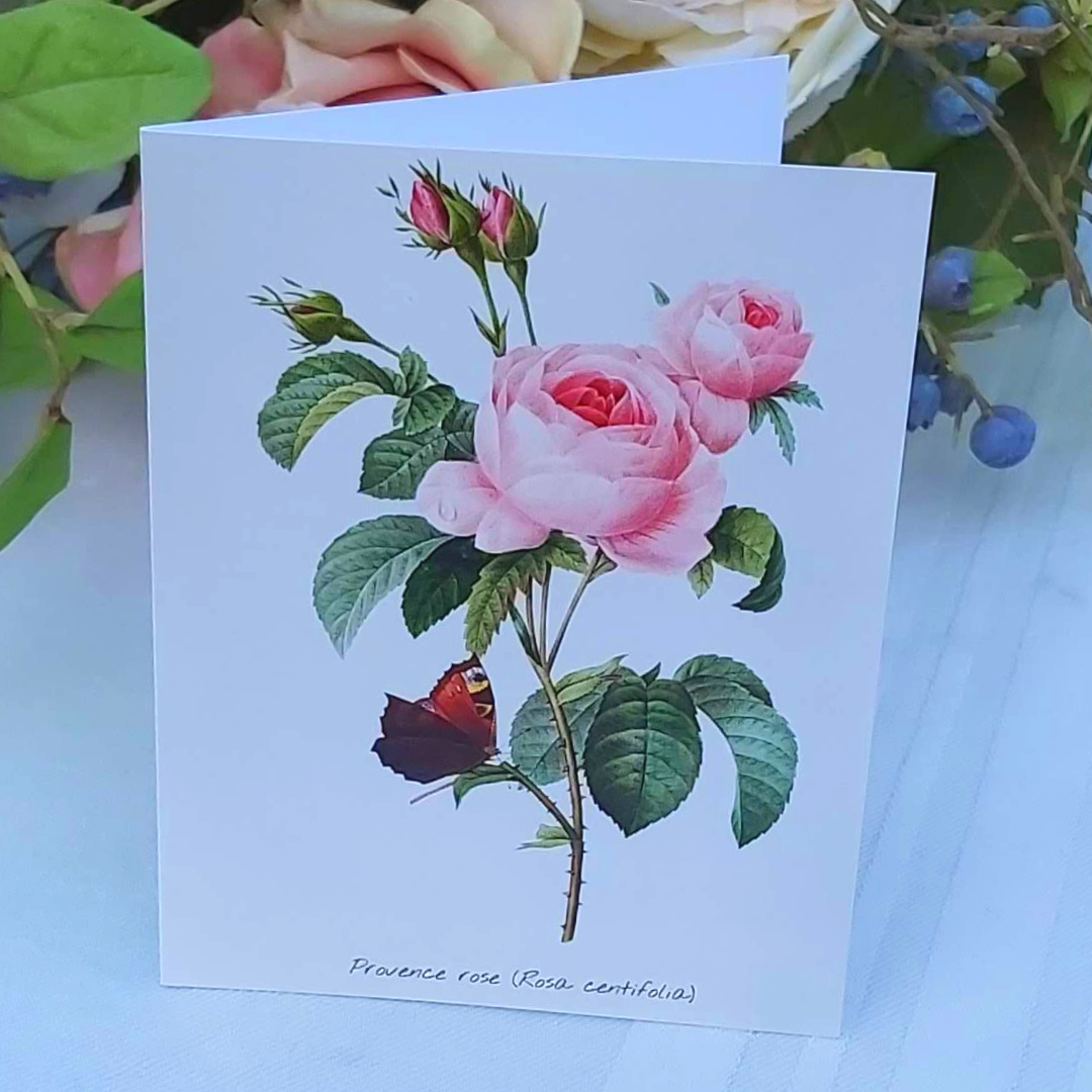 GIFT CARDS &amp; STATIONERY