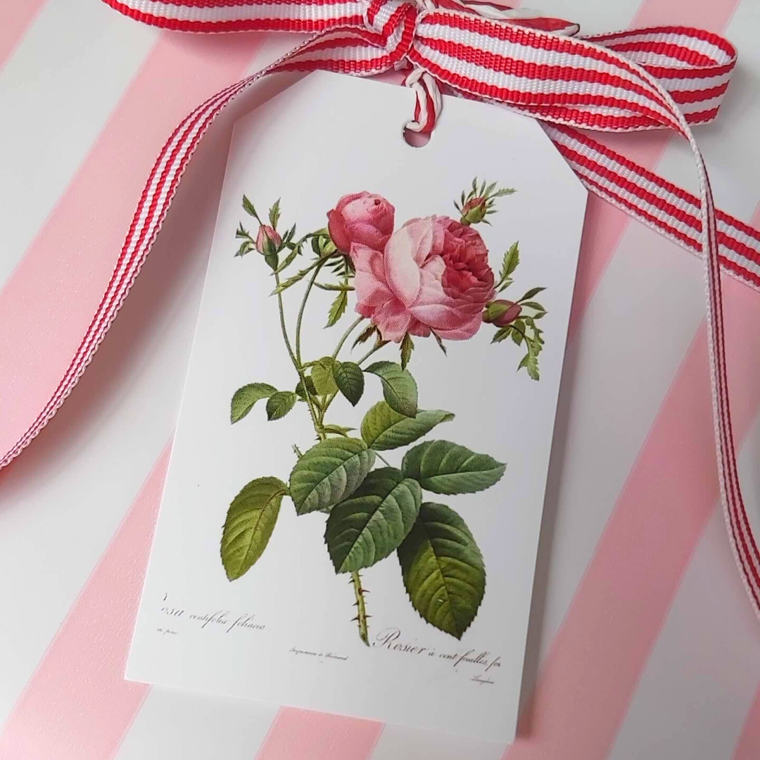 GIFTING COLLECTION