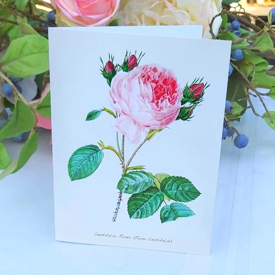 Empress Stationery Range