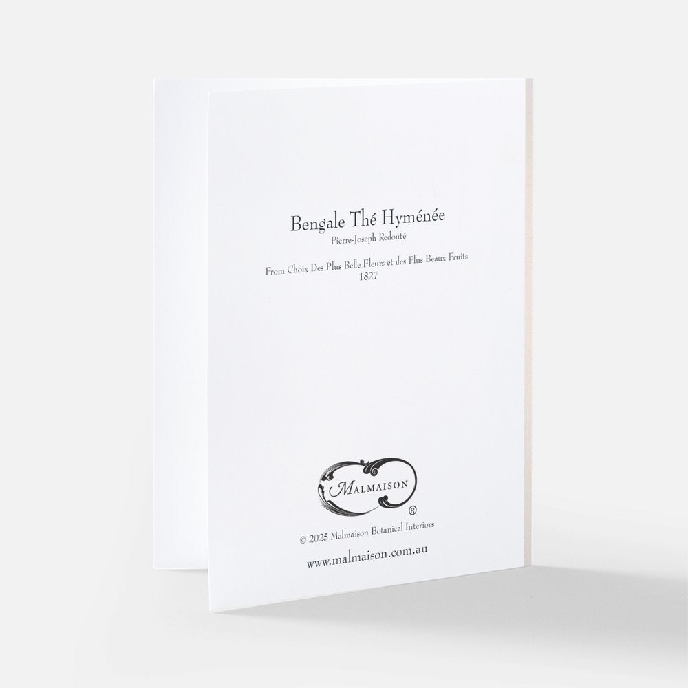 Redoute Bengale Thé Hyménée Greeting Card  by Malmaison