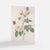 Redoute Botanical illustration of flowers and butterflies on a beige background
