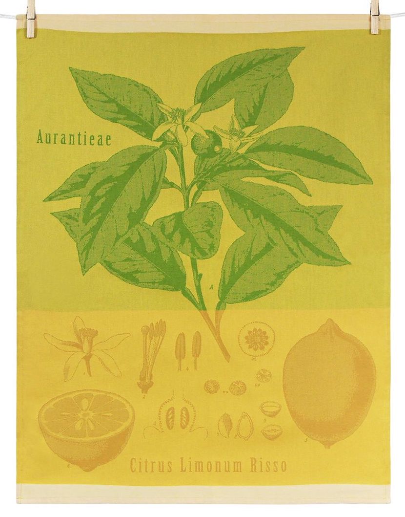 Tissage Moutet - Citrus Tea Towel