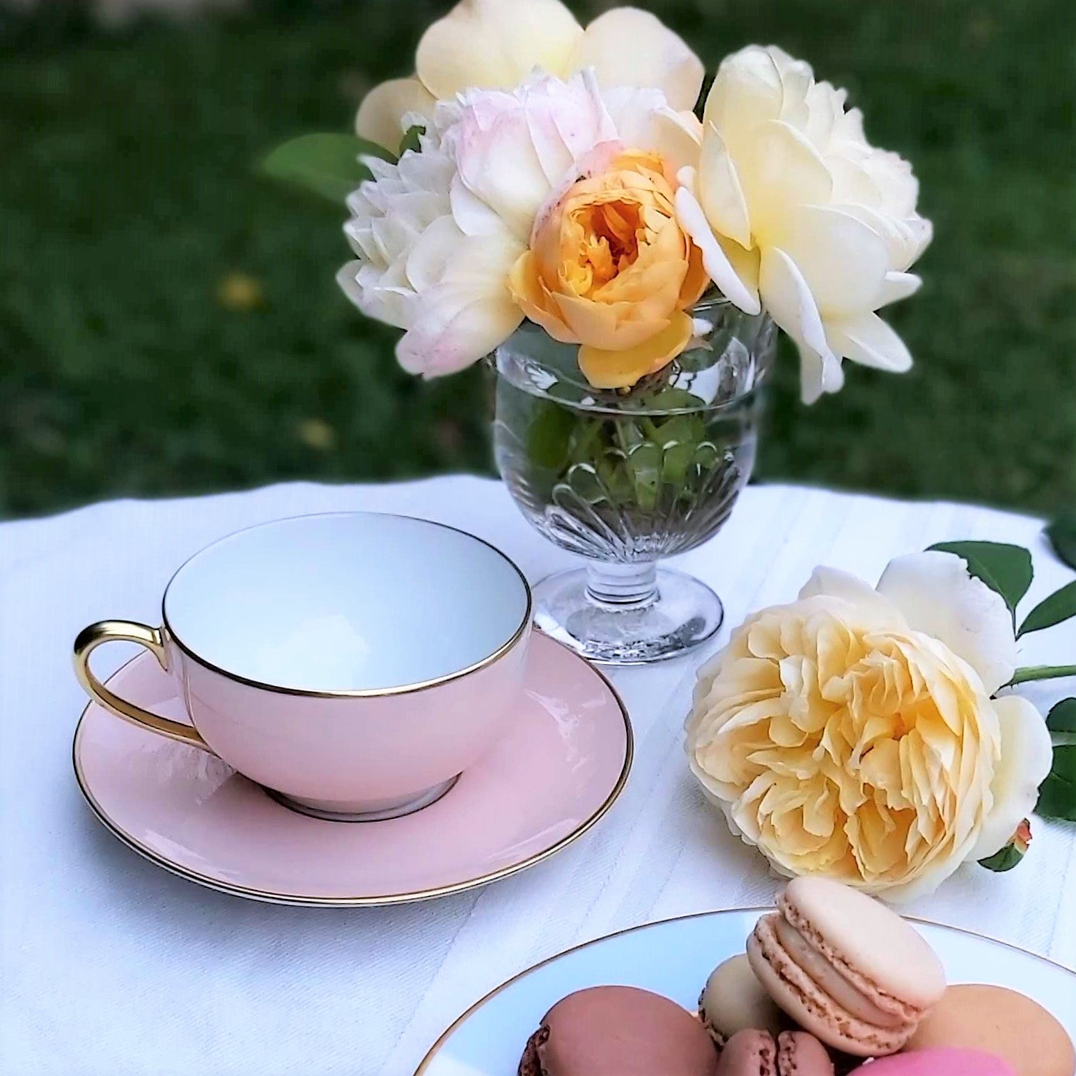 Limoge Teacup & Saucer Rose Petal