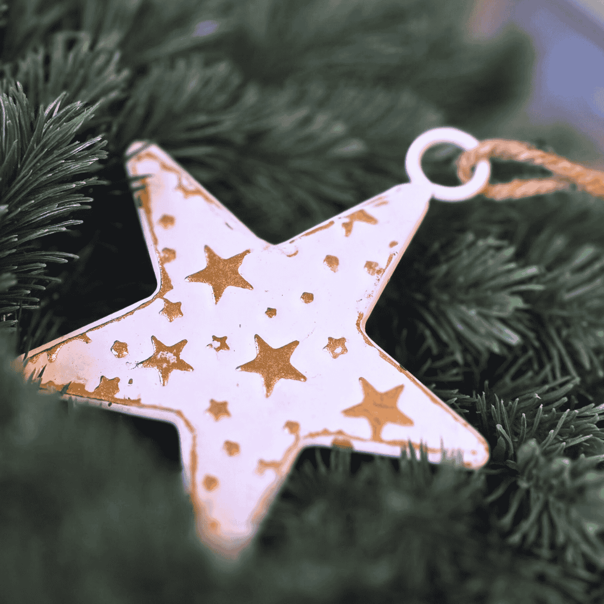 Closeup Christmas Star decoration from Étoile de Lune range – placed on Christmas Wreath