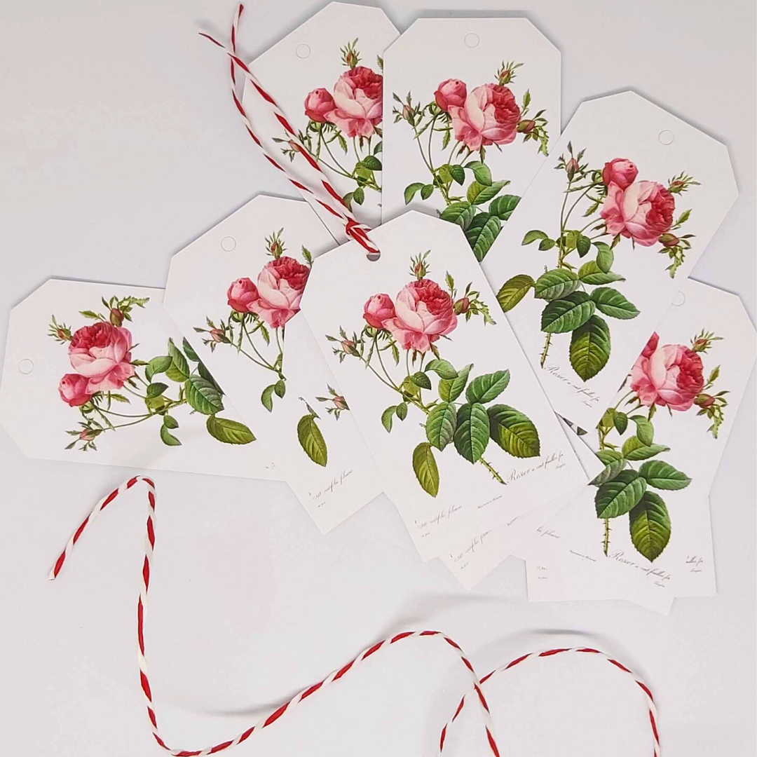 REDOUTÉ Rosa Centifolia Gift Tag