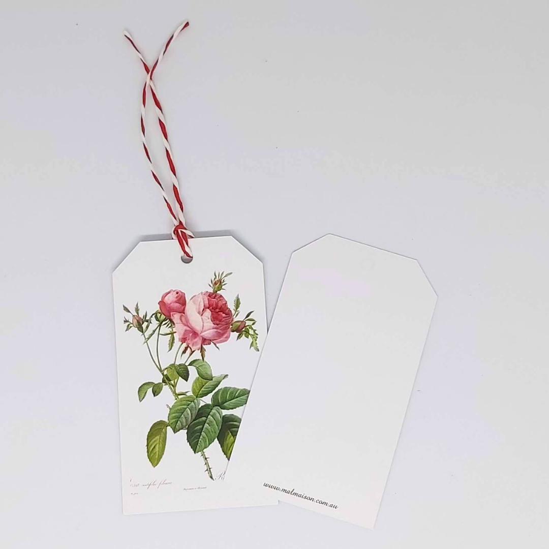 REDOUTÉ Rosa Centifolia Gift Tag