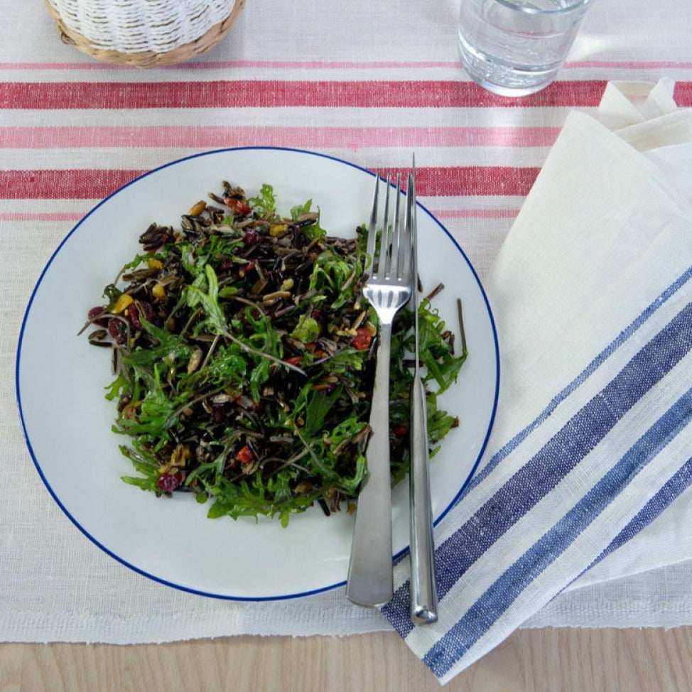 Agnès Linen Napkins - Blue Two Tone Stripe - Set of 4