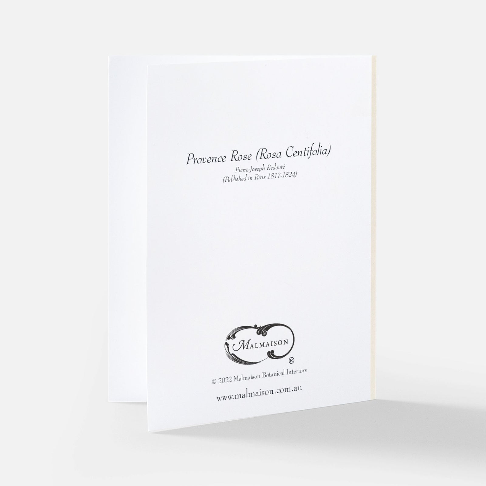 Redoute Rose Greeting Card - Provence Rose