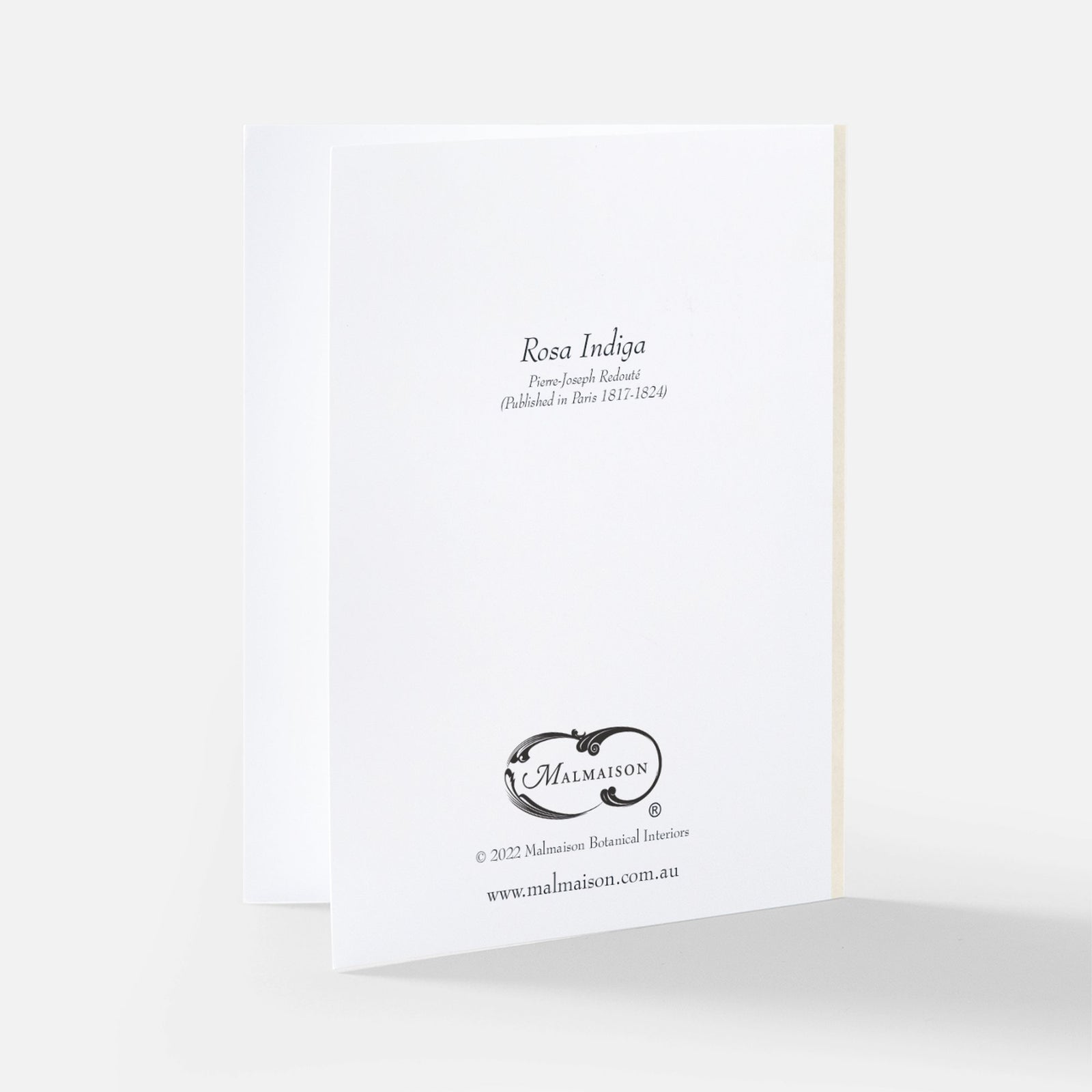 Redoute Rose Greeting Card - Rosa Indiga