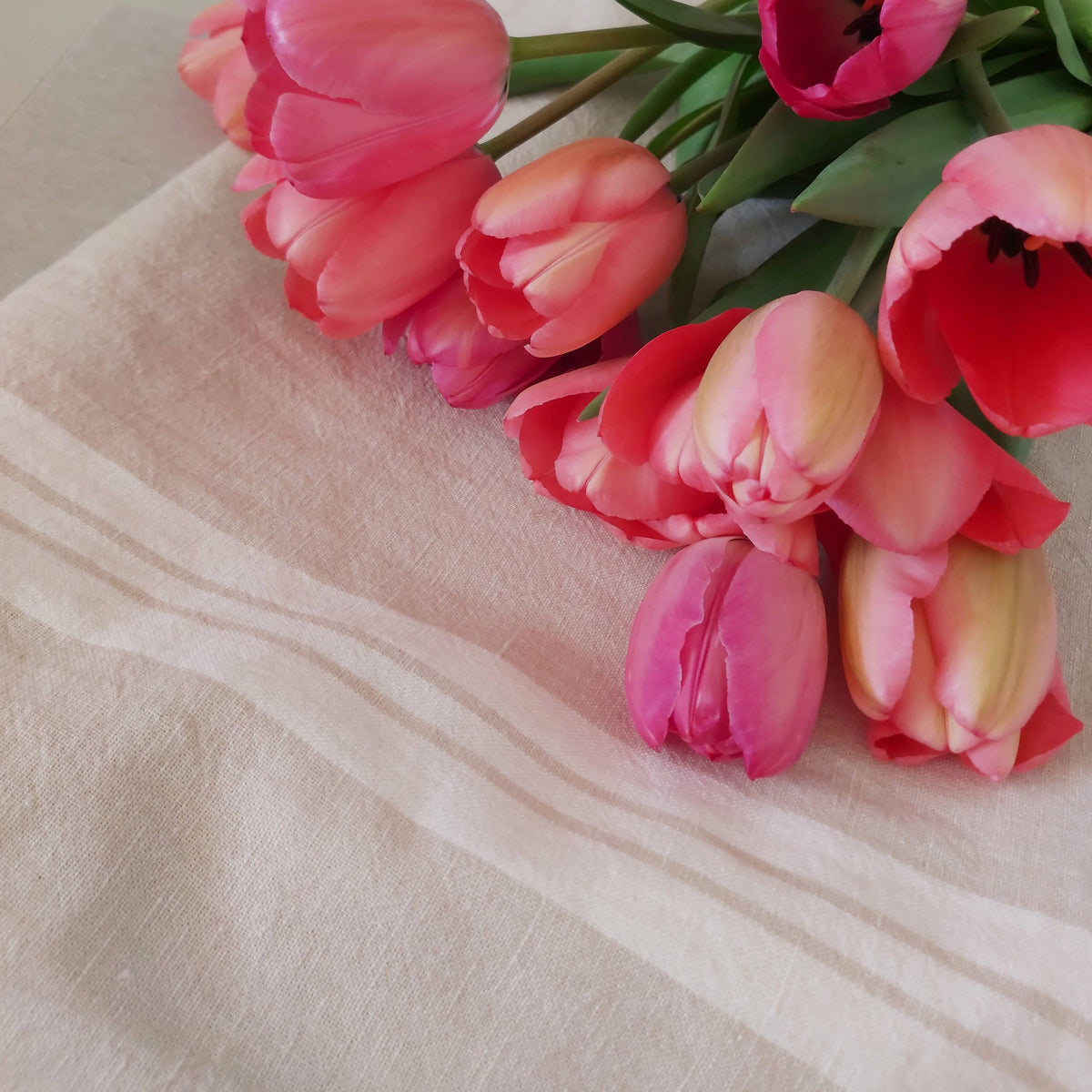 Biarritz French Stripe Tote